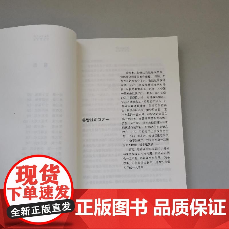小鬼鲁智胜 秦文君 著少年儿童出版社 儿童文学小学生一年级二年级三年级课外书正版寒假暑假阅读高清大图