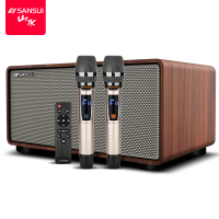 山水（SANSUI） H3 家庭KTV K歌音响套装 套装家庭影院 电视音响全民K歌音响 无线双麦克风居家K歌版家庭音响
