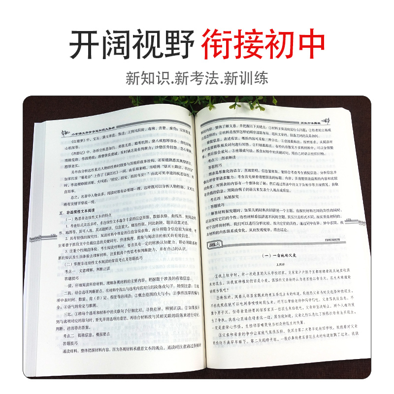 [正版]新版全新升级版共2册小学语文升学夺冠知识大集结+训练A体系 小升初语文总复习资料中小学辅导书小考试辅导工具书知