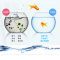 鱼缸滤材全家福鱼缸过滤材料水族箱过滤陶瓷环生化环细菌屋活性炭