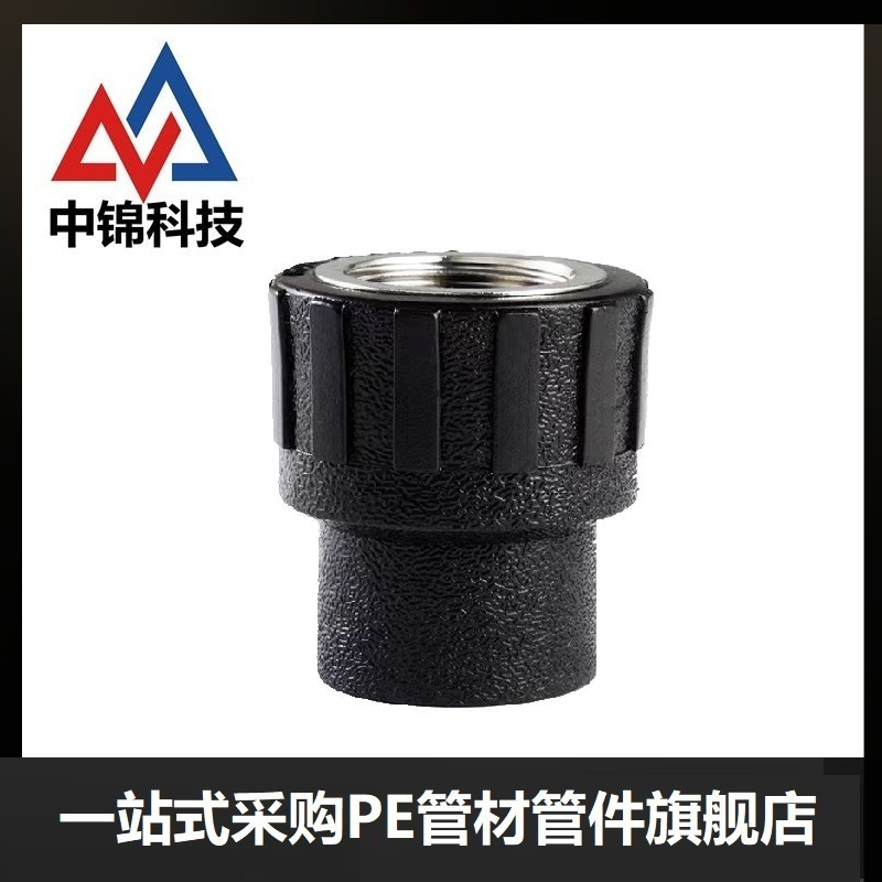 中锦科技 PE内螺纹直通 PE20*1/2(4分)(承压1.6Mpa)个
