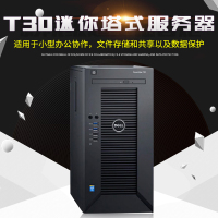 戴尔Dell PowerEdge T30塔式财务进销存、文件服务器E3-1225V5/8G/1TSATA桌面级/DVD/290W