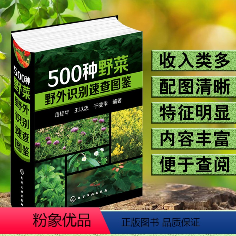 1500种中草药野外识别彩色图鉴 【正版】野菜图鉴大全500种野菜野外识别速查图鉴中国野菜野果植物菌类图鉴图谱一本通
