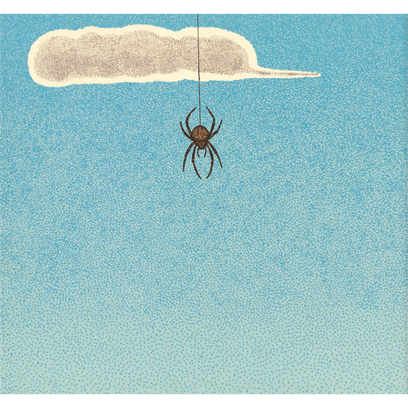 正版新书]蜘蛛——(启发童书馆出品)文/图:﹝日﹞新宫晋97875高清大图