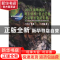 正版 2013海峡两岸地工技术/岩土工程交流研讨会论文集:大陆卷 王