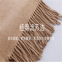 秋冬季新款仿羊绒围巾—200条起订