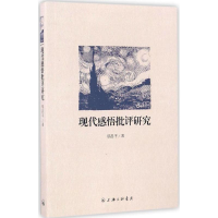 正版新书]现代感悟批评研究胡昌平 著9787542657015