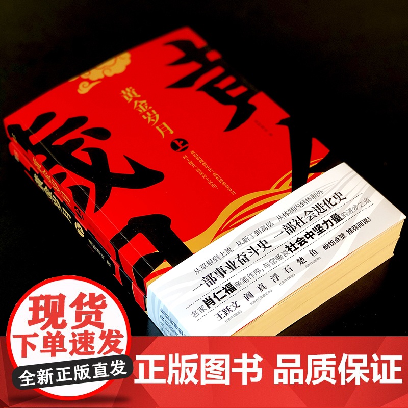 黄金岁月(上下2册) 漠野萧成 作品 官场反腐小说 正道 黄金岁月 中国文学小说 事业奋斗 社会进化 畅谈社会中坚力量的高清大图