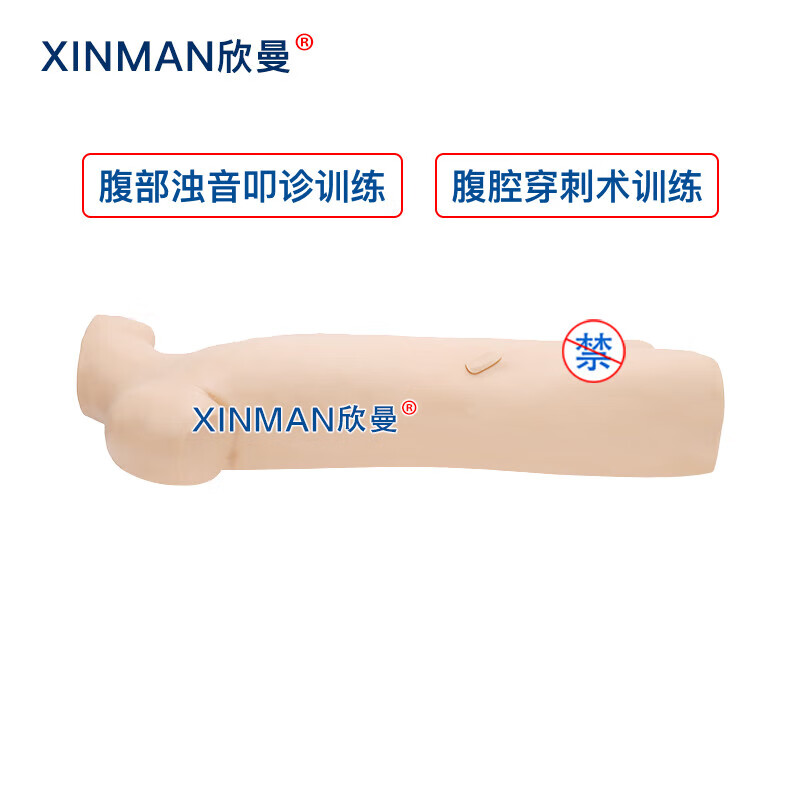 欣曼科教 腹部移动性浊叩诊与腹腔穿刺训练模型 腹腔穿刺模拟人XM-1020高清大图