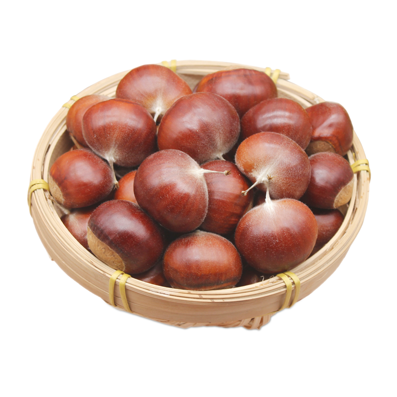 山东新鲜板栗2.5kg毛栗子生板栗子