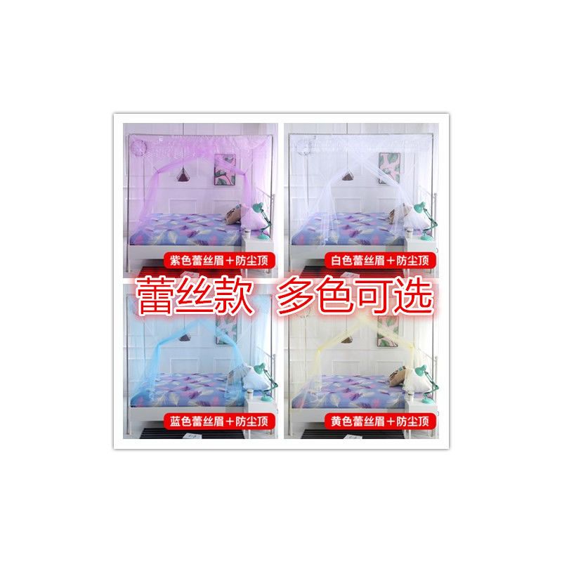 蚊帐单开门加粗支架宫廷式公主风加密1.2m1.5米1.8双人床家用新款