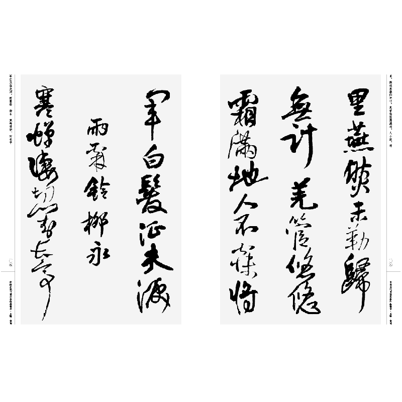 醉染图书中国历代书法名家作品集字 王铎宋词9787102085449高清大图