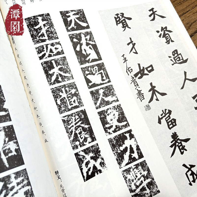 [正版]张猛龙碑帖 新书谱中国书法基础教程 北魏碑毛笔字帖 张猛龙原碑帖技法精讲 书法集字高清放大旁注章法结构楷书入门