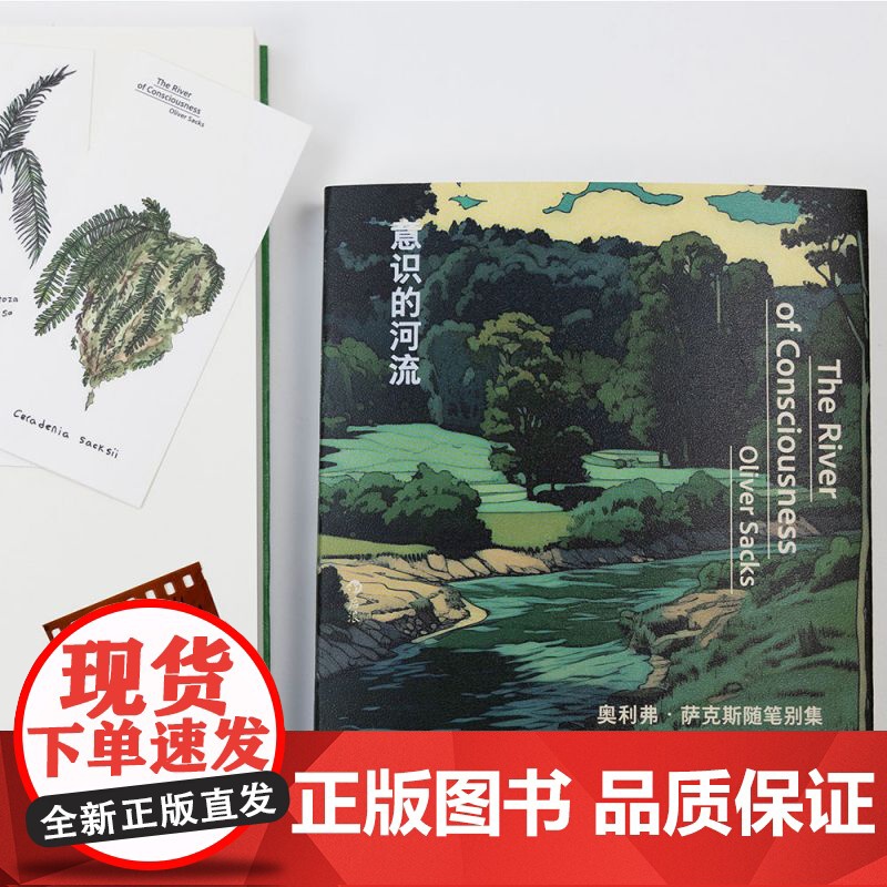 意识的河流高清大图