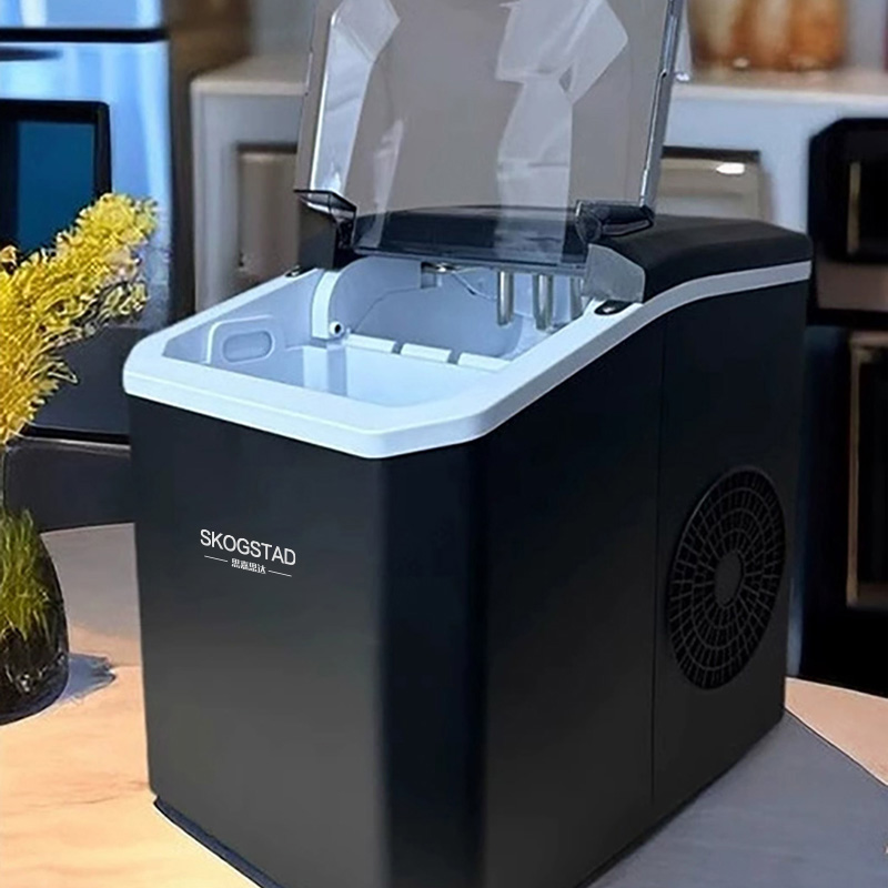 思嘉思达 制冰机 ZSW-ZB11高清大图