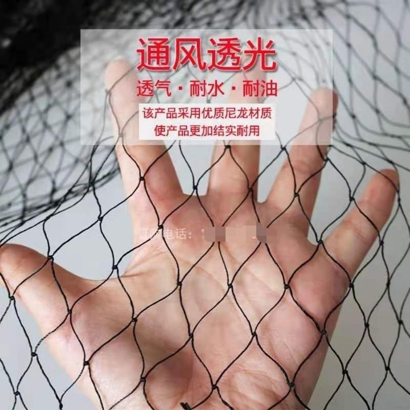 穿单引线网眼3.8CM[1条] 户外围网拦鸡网养殖网防护网防虫网尼龙网轮胎网子网片渔网