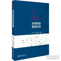 空间信息智能处理
