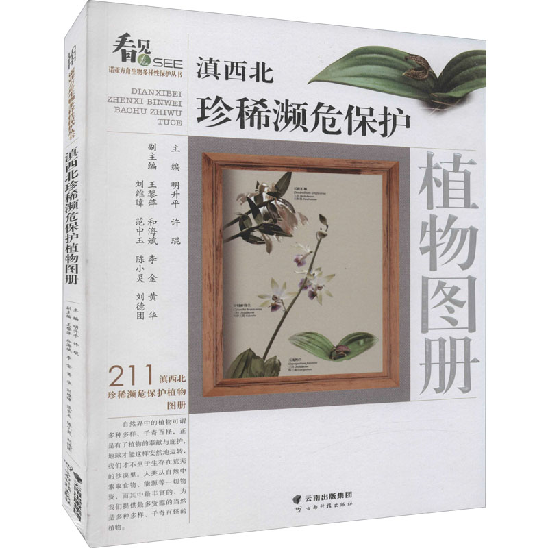 [M]滇西北珍稀濒危保护植物图册-9787558736285高清大图