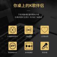 得胜 PC-K600 34mm大振膜电容式麦克风 直播录音全民K歌可搭配声卡套装 自带防震架防风棉 需配幻象电源
