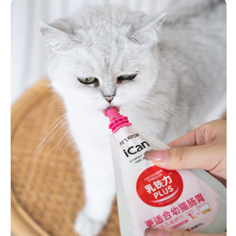阿飞和巴弟幼猫主食湿粮包猫咪奶糕鸡肉主食罐头85g*3图片