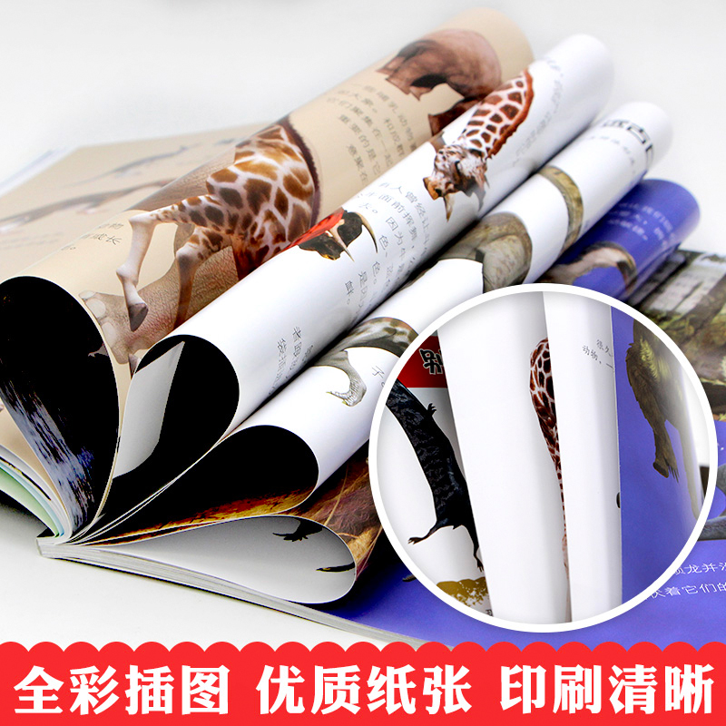 [醉染正版]正版 暴读百科全书儿童趣味科普读物全3册 好多好多的动物 好怪好怪的昆虫 好大好大的宇宙 科普类书籍小学生课高清大图