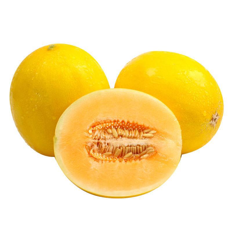 清甜大果陕西黄河蜜甜瓜5斤大果新鲜当季水果整箱黄金哈密瓜民勤蜜瓜