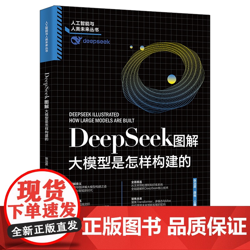 正版DeepSeek图解:大模型是怎样构建的 张治政,薛栋,公鑫 北京大学出版社 人工智能与人类未来丛书 9787301