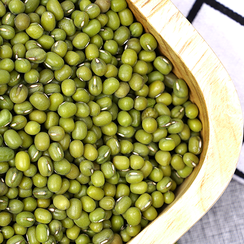 四口田有机绿豆东北内蒙古科尔沁草原新豆绿豆汤绿豆沙发豆芽粗粮杂粮