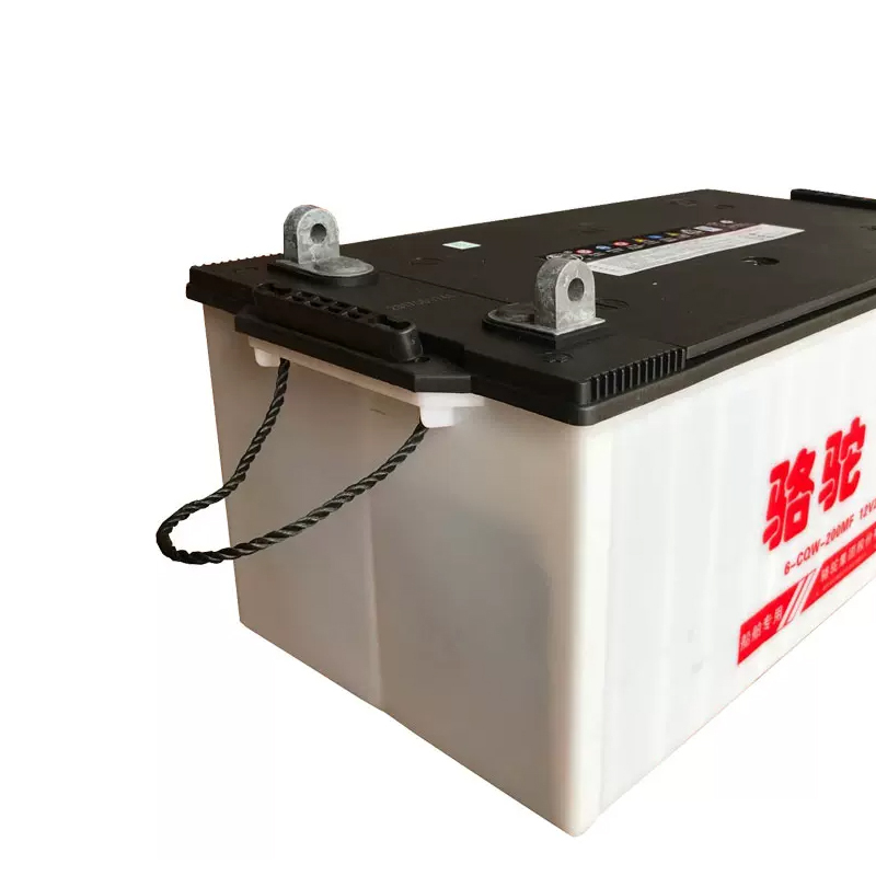 骆驼6-cQw-200AH蓄电池