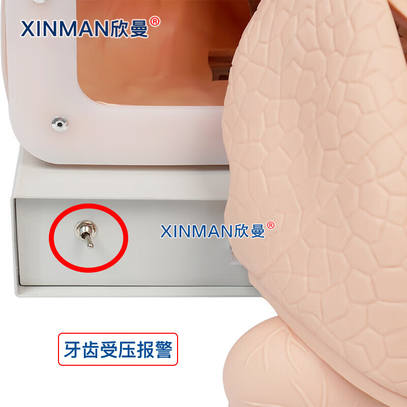 欣曼科教 高级成人气管插管操作训练模型 气道管理模拟人 急救气管插管模拟人XM-5800高清大图