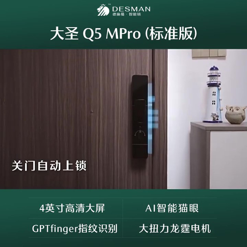 德施曼大圣Q5 MPro(标准版)智能门锁指纹家用全自动大屏可视猫眼密码 高端黑高清大图