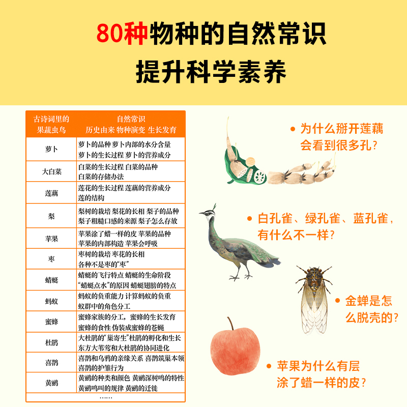 [醉染正版]古诗词里的自然常识全4册 少儿童自然动物科学百科全书吃萝卜为什么爱放屁白鹭为什么排成一行飞科普类书籍小学生课高清大图