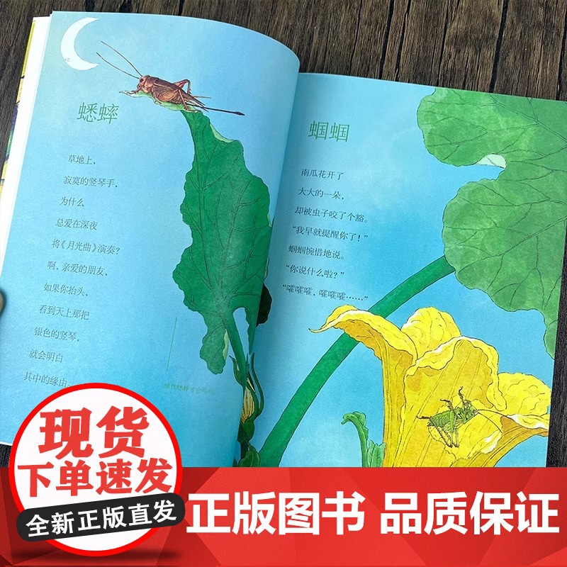 给孩子的昆虫集正版 巩孺萍著 杨佩琪绘 二年级祖庆说百班千人寒假书目2年级小学生课外书阅读书籍非注音版福建少年儿童出版社高清大图
