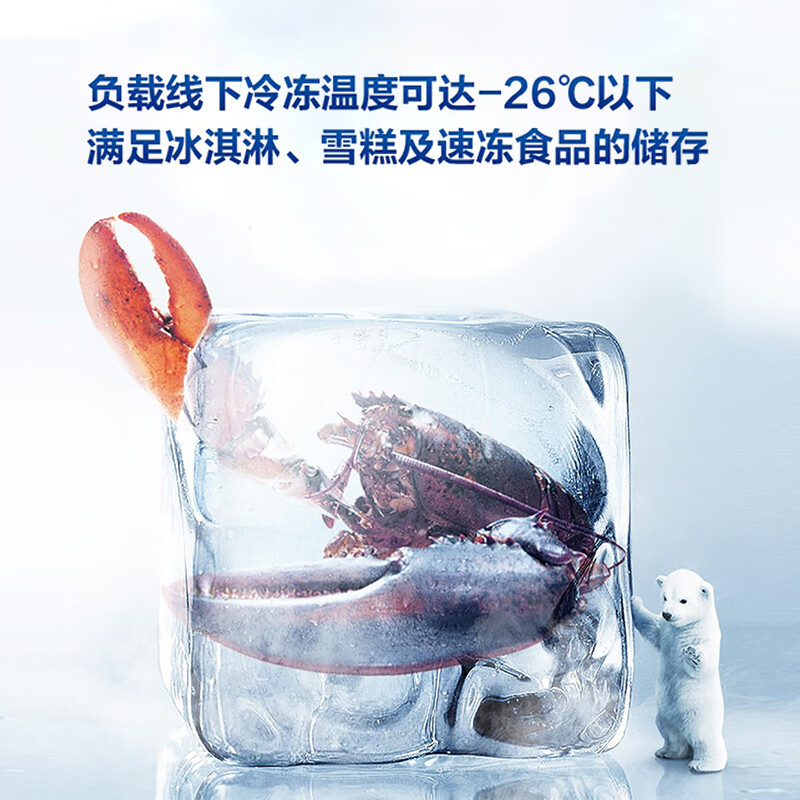 新飞(Frestec)201升冷藏冷冻转换一级能效家用商用变温冷柜卧式冰箱冰柜(白色)BC/BD-201KHAT高清大图