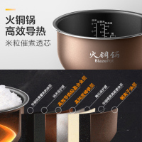 飞利浦（PHILIPS）电饭煲 HD3175/21 智能预约电饭锅4L智芯回漩IH电磁加热 火铜锅