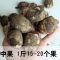 芋头新鲜毛芋头小芋头农家蔬菜毛芋艿滑糯香新鲜芋头 10斤中果(性价比高)