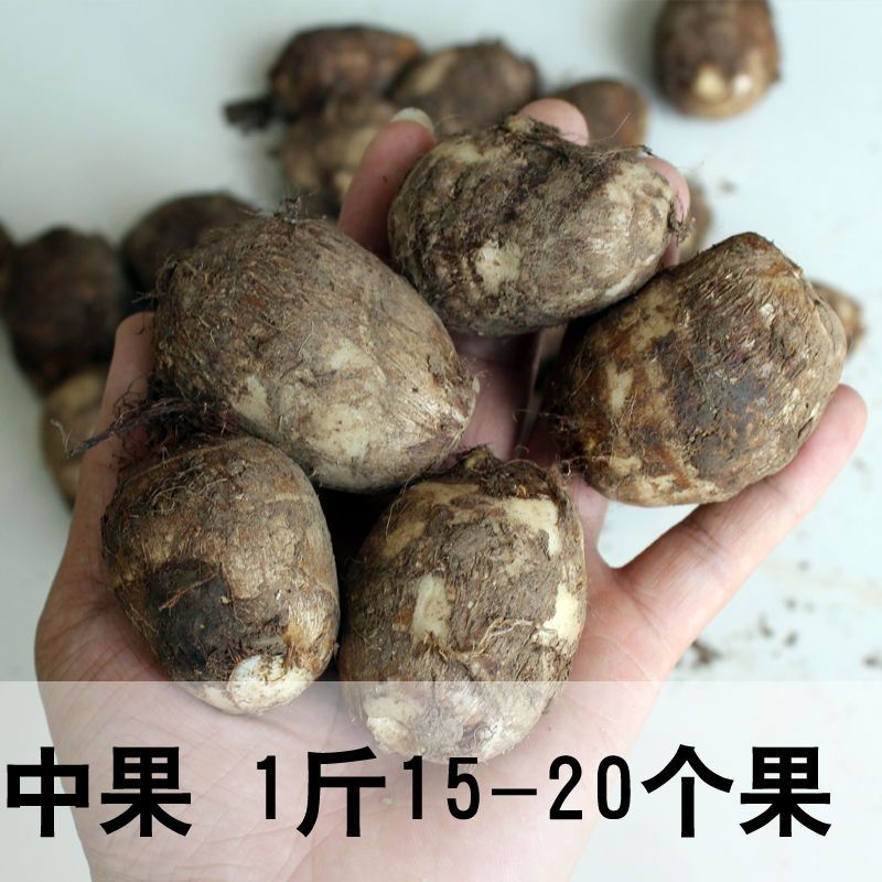 芋头新鲜毛芋头小芋头农家蔬菜毛芋艿滑糯香新鲜芋头 10斤中果(性价比高)