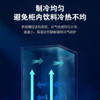 Haier海尔冷柜商用展示柜风冷无霜饮料柜 立式单门冷藏 啤酒冰柜冷保鲜柜 立式冷柜 SC-239JX