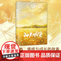 阳光城堡 校园青春文学情感与成长的故事 言情现代文学小说 高中生初中生课外书广东人民出版堡