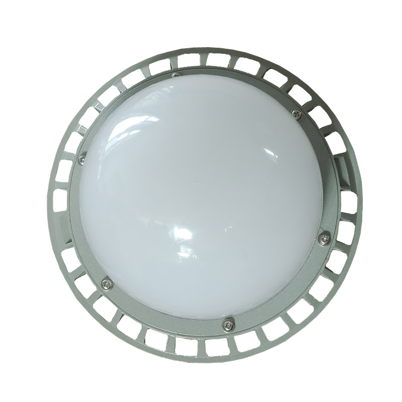 LHDQ 领航电器LHF2109C LED平台灯 50W IP65 220V 冷光高清大图