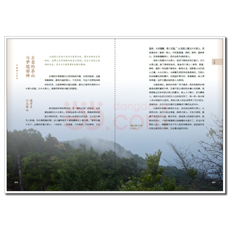 正版新书]中国茶山行记陈勇光9787518438181高清大图