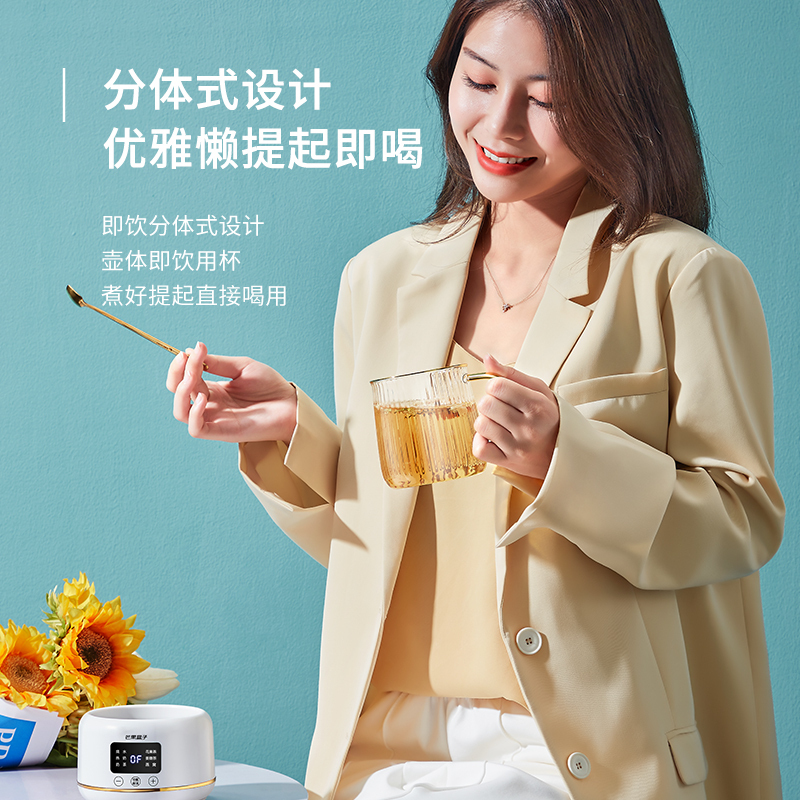 生活元素(LIFE ELEMENT)养生壶I161迷你电热杯 《姐姐的爱乐之程》芒果TV&生活元素联名款宁静杯养生电炖杯