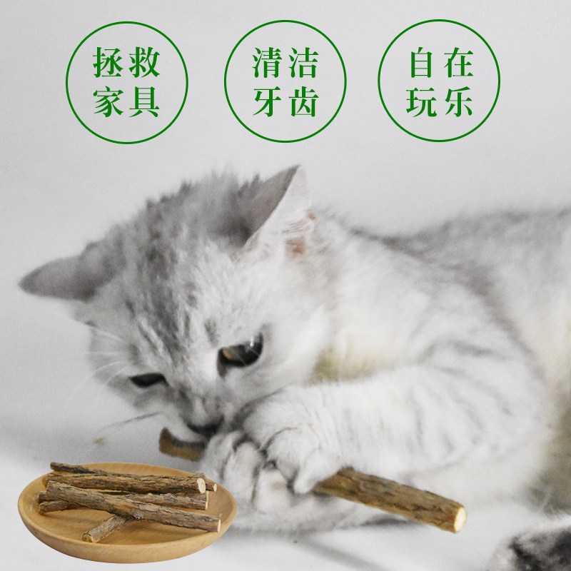 (2件9折)猫森林猫零食木天蓼棒6根猫磨牙棒去垢清口气洁齿棒猫咬棒猫玩具