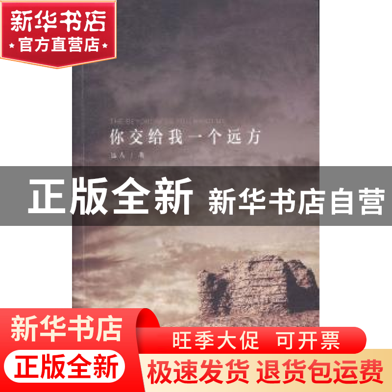 正版 你交给我一个远方 远人著 花城出版社 9787536074811 书籍