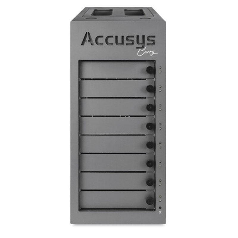 ACCUSYS世仰 Gamma Carry 雷电3×2 8盘位 磁盘阵列柜 存储系统 视频剪辑4K 官方标配(不含硬盘)