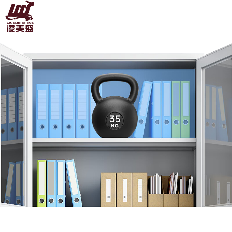 凌美盛 文件柜办公柜钢制铁皮柜二斗文件柜LM-509/个高清大图