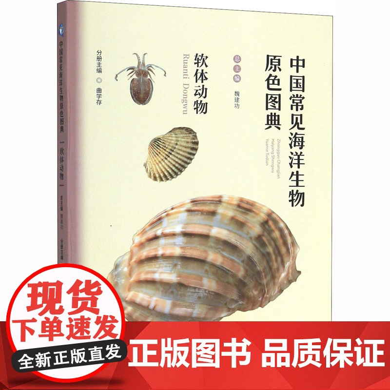 中国常见海洋生物原色图典 软体动物 中国海洋大学出版社 魏建功,曲学存 编高清大图