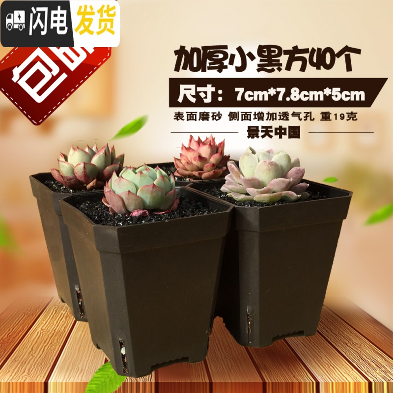 三维工匠加厚小黑方十方7cm10cm彩色塑料多肉花盆加仑盆大号托盘 加厚乳白色七方20个 中等花盆容器高清大图