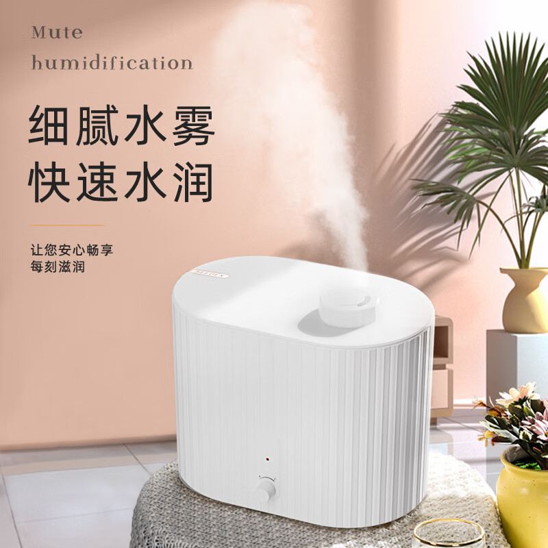 SEEDEN西点空气加湿器XD-3002A高清大图