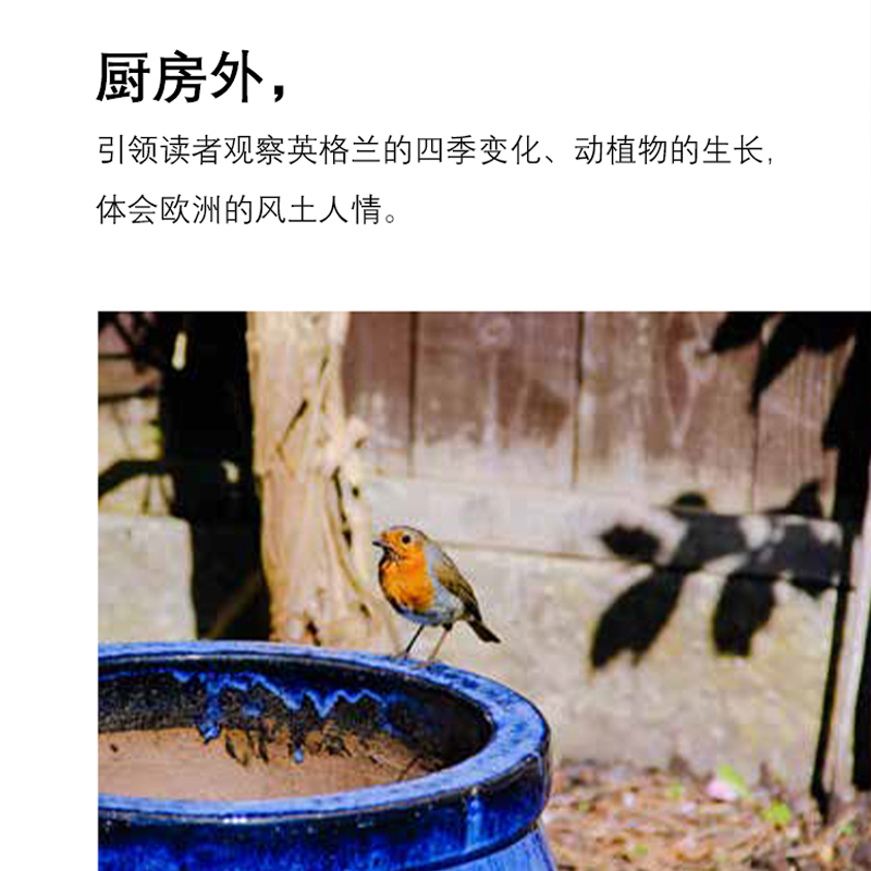 [醉染正版]吾心安处是厨房 冬去春来的料理与生活 秋宓 四季料理家常菜谱大全食谱书籍 家庭烹饪技巧 肉类蔬菜沙拉烹饪美食
